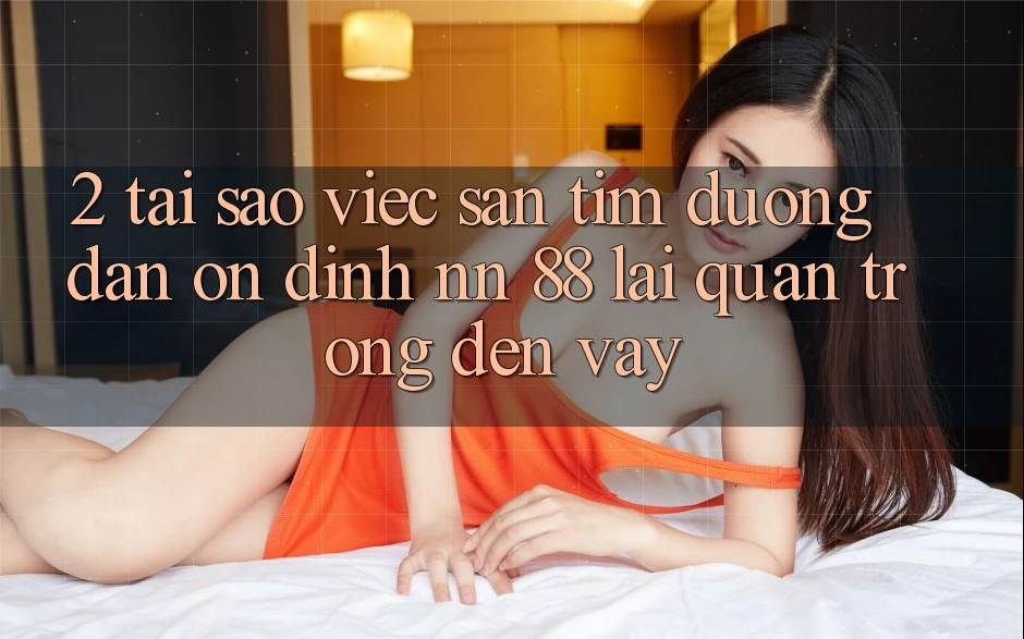 2. Tại Sao Việc Săn tìm “Đường dẫn Ổn định nn 88” Lại Quan Trọng Đến Vậy?