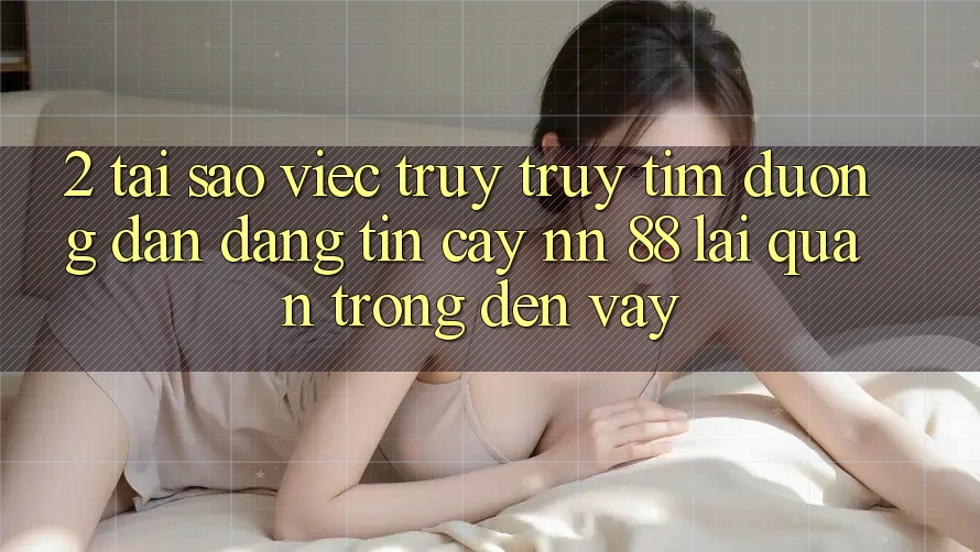 2. Tại Sao Việc Truy truy tìm “Đường dẫn Đáng tin cậy nn 88” Lại Quan Trọng Đến Vậy?