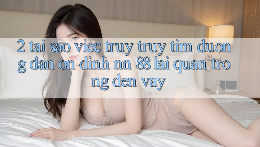 2. Tại Sao Việc Truy truy tìm “Đường dẫn Ổn định nn 88” Lại Quan Trọng Đến Vậy?