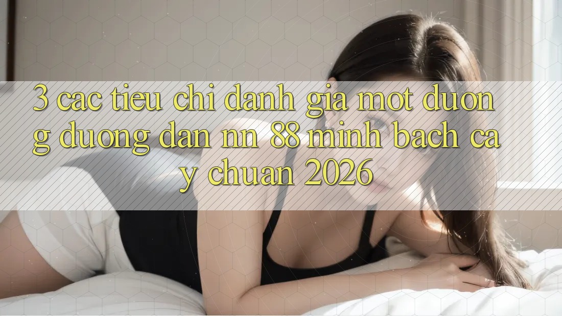 3. Các Tiêu Chí Đánh Giá Một Đường Đường dẫn nn 88 Minh bạch cậy Chuẩn 2026