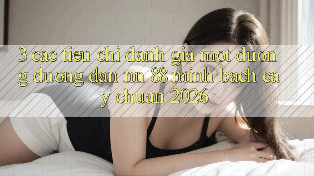 3. Các Tiêu Chí Đánh Giá Một Đường Đường dẫn nn 88 Minh bạch cậy Chuẩn 2026