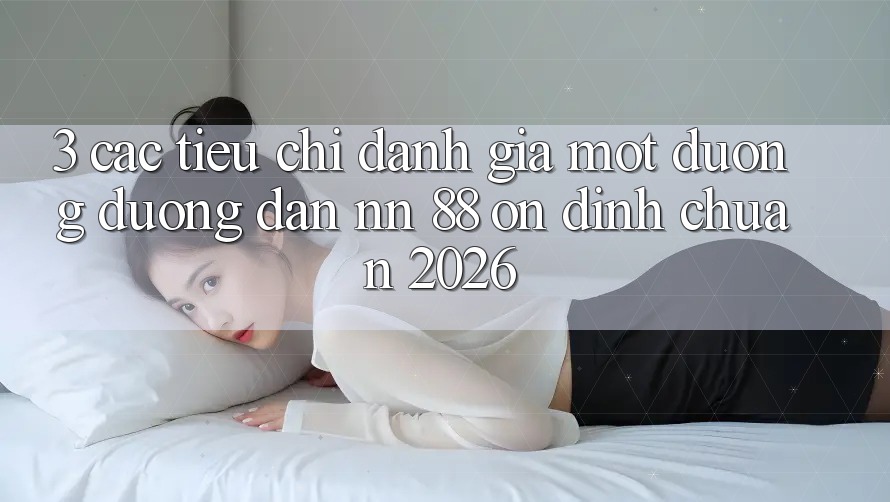 3. Các Tiêu Chí Đánh Giá Một Đường Đường dẫn nn 88 Ổn định Chuẩn 2026