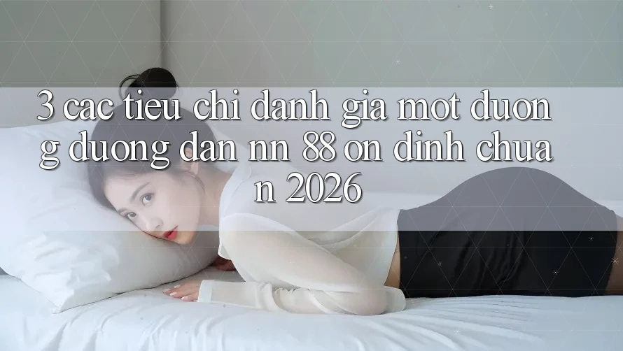3. Các Tiêu Chí Đánh Giá Một Đường Đường dẫn nn 88 Ổn định Chuẩn 2026