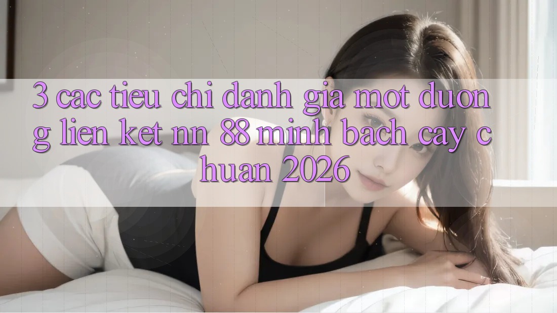 3. Các Tiêu Chí Đánh Giá Một Đường Liên kết nn 88 Minh bạch cậy Chuẩn 2026