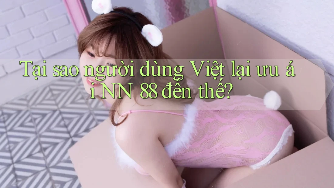 Tại sao người dùng Việt lại ưu ái NN 88 đến thế? Tại sao người dùng Việt lại ưu ái NN 88 đến thế?